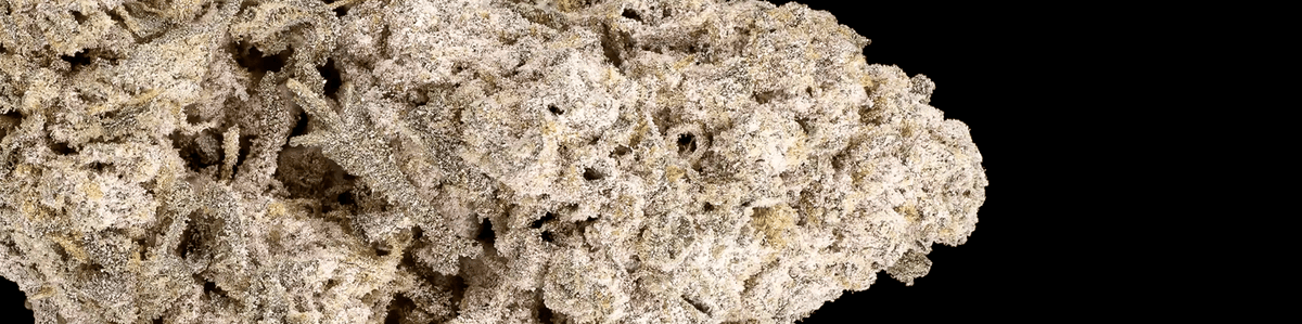 Dense kush cannabis buds with earthy green tones and thick trichome coverage.