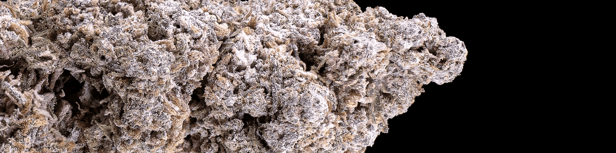 Large, dense cannabis buds with thick trichomes and a slightly frosty appearance.