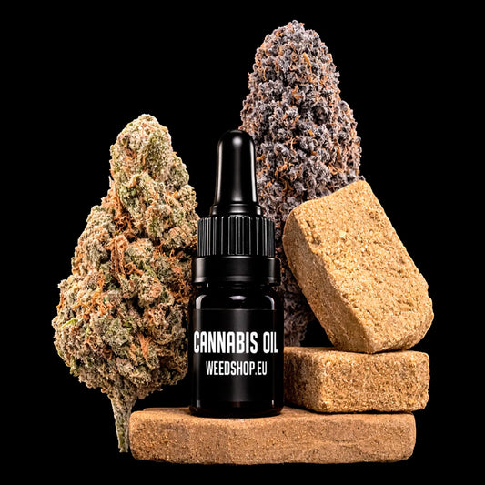 Cannabis bundle with Diesel Punch, Amnesia Indoor, La Mousse hash and CBD oil
