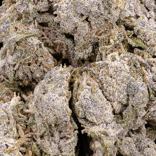 Close-up of Aarhus Puff THCA bud showing compact structure and crystal detail