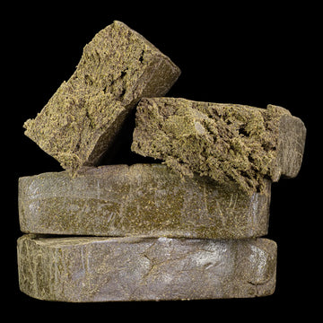 Manali Cream 40% THCA dry sift hash with dark oily exterior and soft golden core