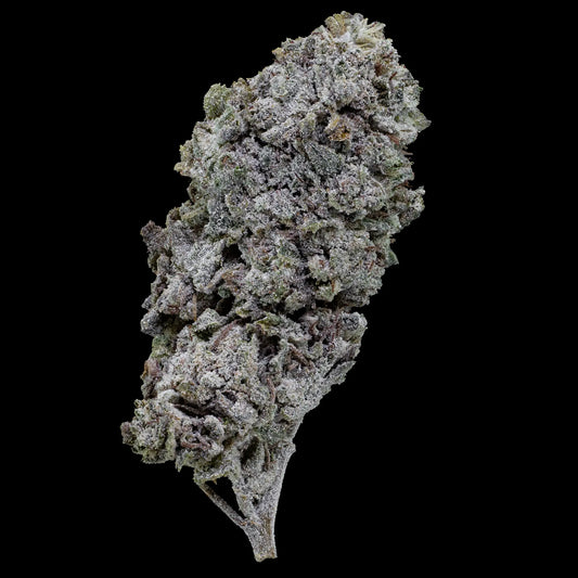 Snow Kush GH 23% THCA glasshouse flower with dense resin-rich buds