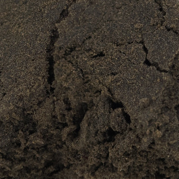 Close-up of Aekte Vare CBD hash showing dense structure and resin-rich surface