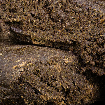 Weedshop manali hash thca static macro shot